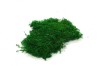Premium Preserved Alpine Flat Moss Dark Green 100g Box