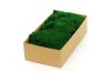 Premium Preserved Flat Moss Dark Green 100g Box