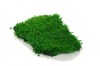 Premium Preserved Flat Moss Medium Green 100g Box