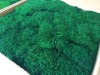 Premium Preserved Alpine Flat Moss Dark Green XL Wholesale Box