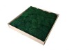 Premium Preserved Alpine Flat Moss Dark Green XL Wholesale Box