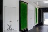 Flat ( Tyrolean ) moss wall panel 50 x 50cm | color - medium green