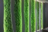 Preserved Swedish  Pillow Moss Light Green 0.1 m2