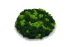 Mix Reindeer Moss Island Diameter 32 cm - Spring Green & Dark Green