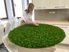 Mix Reindeer Moss Island Diameter 32 cm - Spring Green & Dark Green