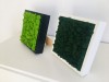 Wall Art made of dark green reindeer moss in a 25x25cm white wooden frame