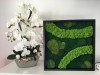 Unique Handcrafted Mix Moss Wall Art 52 x 52 cm in Black Frame