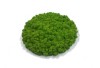 Pre-made Reindeer Moss Island Diameter 32 cm - Spring Green