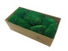Premium Preserved Pillow/ Bun Moss Dark Green 150g Box
