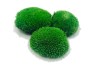 Premium Preserved Alpine Pillow Moss  Medium Green 150g Box