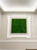 Premium Preserved Alpine Pillow Moss Light Green 0,6m2 Large Wholesale Box