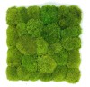 Pre-made Pillow Moss / Bun Moss Panel 30x30 cm (12''x12'') Pillow Moss Tile | color - light green