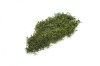 Preserved Polar Flat Moss Dark Green 200 g Box