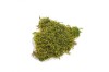 Preserved Polar Flat Moss Light Green 100g Box