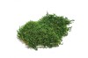Preserved Polar Flat Moss Medium Green 200 g Box