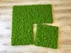 Reindeer moss wall panel 50x50 cm / acoustic moss panel | color - spring green