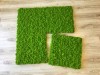 12''x12'' Reindeer moss wall panel - 1 sq ft Reindeer Moss Tile | color - spring green