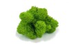Purified Reindeer Moss Spring Green 2kg FINNISH