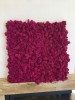 Purified Reindeer Moss Fuchsia 2 kg FINNISH