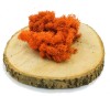 Purified Reindeer Moss Orange 2 kg FINNISH