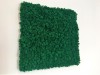 Reindeer moss wall panel 50 x 50cm (0,25m2)  color - medium green