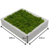 Wall Art made of spring green reindeer moss in a 28 x 23cm white wooden frame