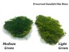 Preserved Swedish Flat Moss/ Forest Moss Light Green XL Bulk Box