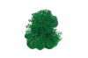 Preserved Polar Reindeer Moss ( Box 500g Gross ) Bottle Green - Medium Green