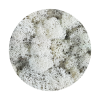 Purified Reindeer Moss Natural 2 kg FINNISH