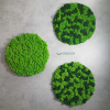 Round acoustic moss wall panel made of reindeer moss, 50cm diameter