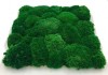 Pillow - Bun moss wall panel 50 x 50cm | color - dark green