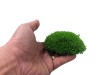 Premium Preserved Alpine Pillow Moss  Medium Green 0,6m2 Large Wholesale Box