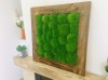 Painting - Wall Art made of pillow moss in a 54x54 cm old wood frame