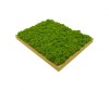 Painting - Wall Art made of spring green reindeer moss in a 50x40cm bamboo wood frame