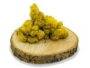 Purified Reindeer Moss Yellow 0,5 kg FINNISH