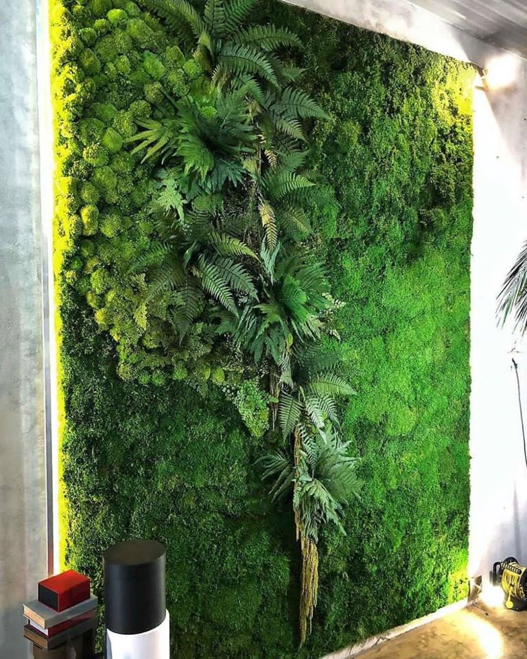 Decorative Flat Moss, Preserved Flat Forest Moss preservedmoss.co.uk