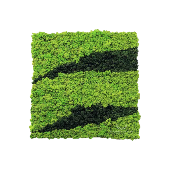 Moss Green Walls/ Acoustic panels preservedmoss.co.uk